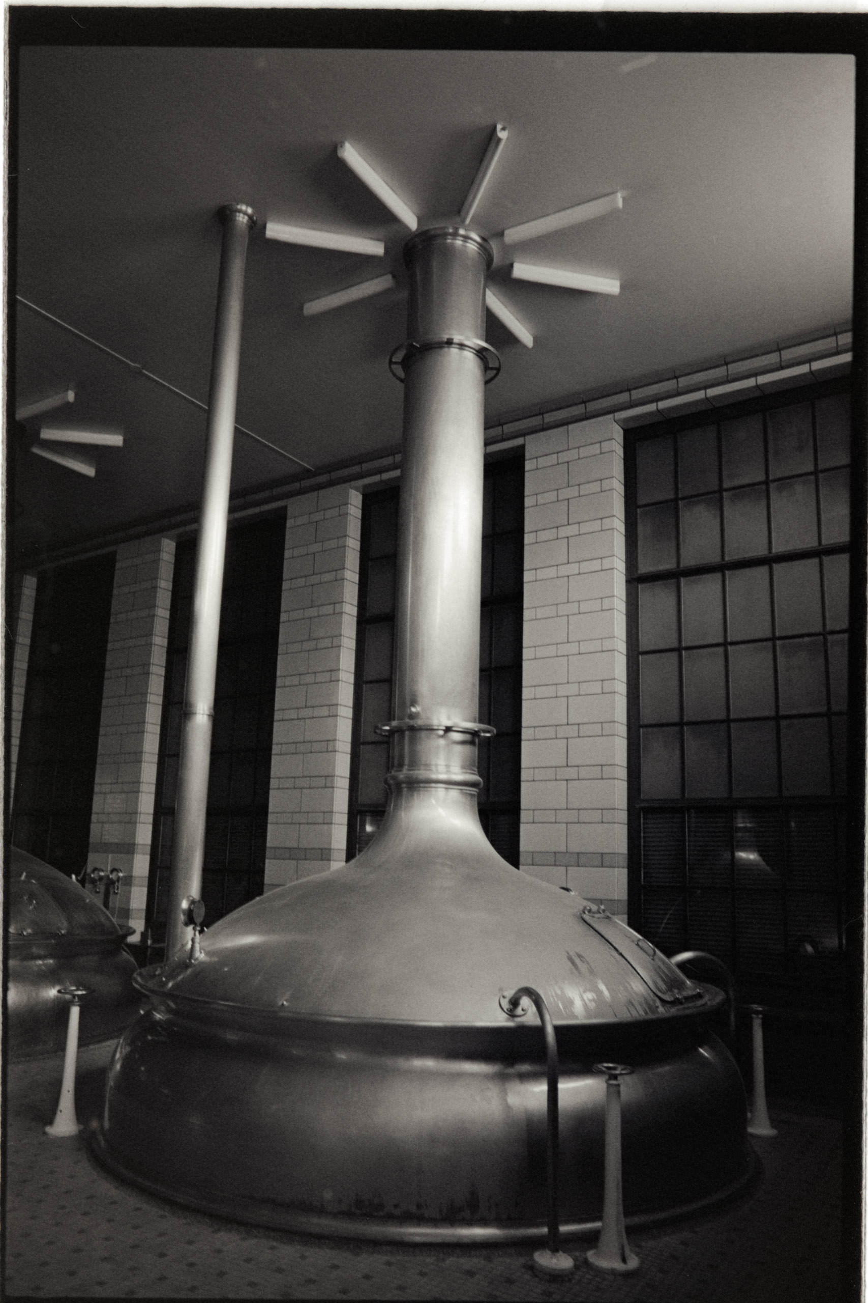 AHP FilmScan 240731 0753